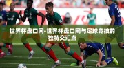 世界杯盘口网-世界杯盘口网与足球竞技的独特交汇点