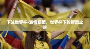 下注世界杯-激情绿茵，世界杯下的智慧之赌