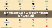 世界杯预选赛在哪下注-揭秘世界杯预选赛的下注方式选择