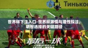 世界杯下注入口-世界杯激情与理性投注，明智选择的关键路径