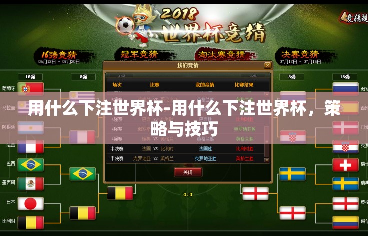 用什么下注世界杯-用什么下注世界杯，策略与技巧