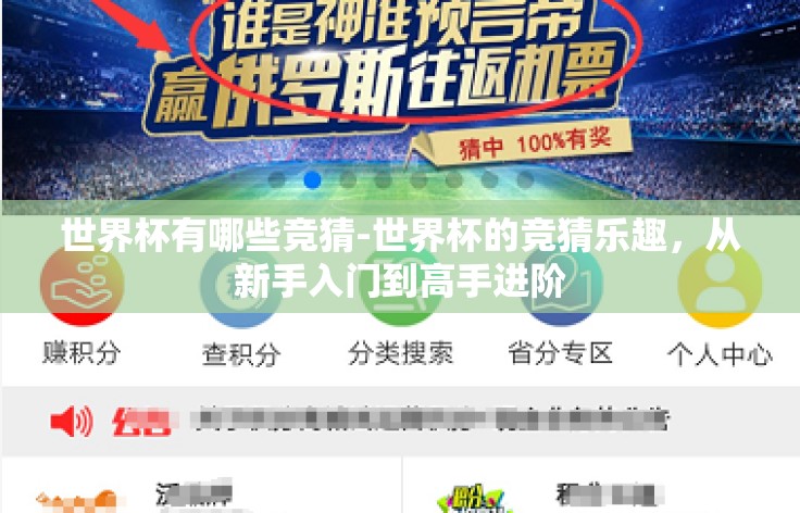 世界杯有哪些竞猜-世界杯的竞猜乐趣,从新手入门到高手进阶 世界杯有哪些竞猜-世界杯的竞猜乐趣,从新手入门到高手进阶