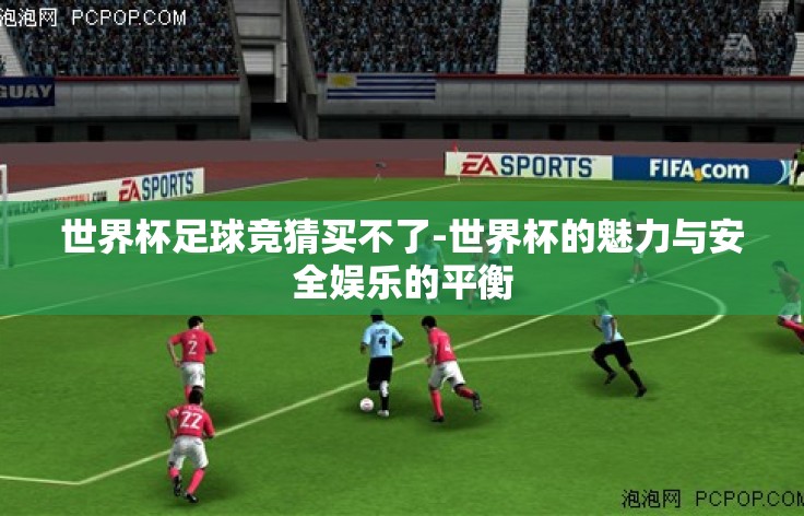 世界杯足球竞猜买不了-世界杯的魅力与安全娱乐的平衡