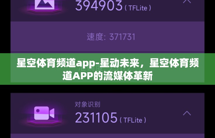 星空体育频道app-星动未来，星空体育频道APP的流媒体革新