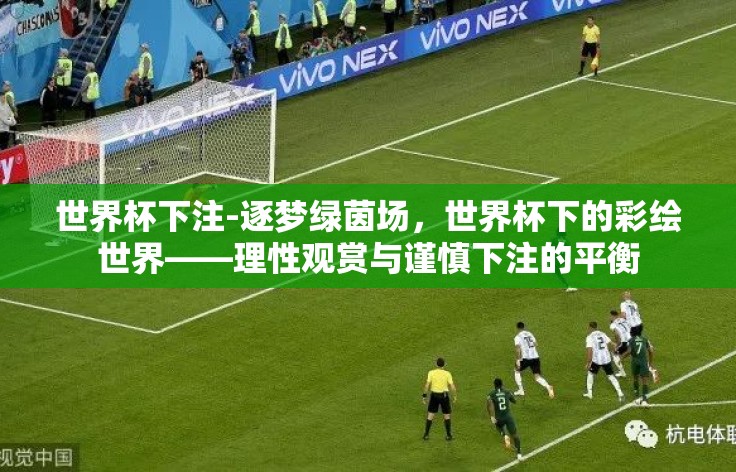 世界杯下注-逐梦绿茵场,世界杯下的彩绘世界——理性观赏与谨慎下注的平衡 世界杯下注-逐梦绿茵场,世界杯下的彩绘世界——理性观赏与谨慎下注的平衡