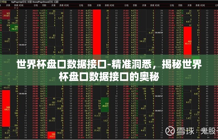 世界杯盘口数据接口-精准洞悉，揭秘世界杯盘口数据接口的奥秘