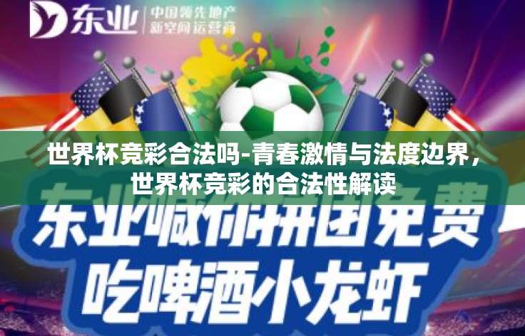 世界杯竞彩合法吗-青春激情与法度边界,世界杯竞彩的合法性解读 世界杯竞彩合法吗-青春激情与法度边界,世界杯竞彩的合法性解读
