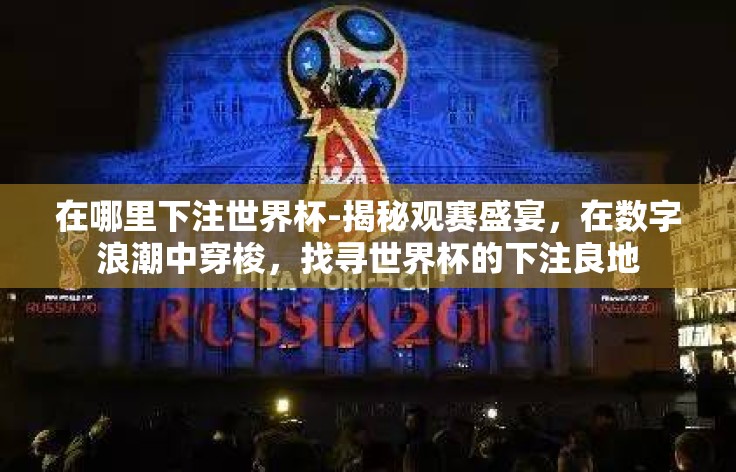 在哪里下注世界杯-揭秘观赛盛宴，在数字浪潮中穿梭，找寻世界杯的下注良地