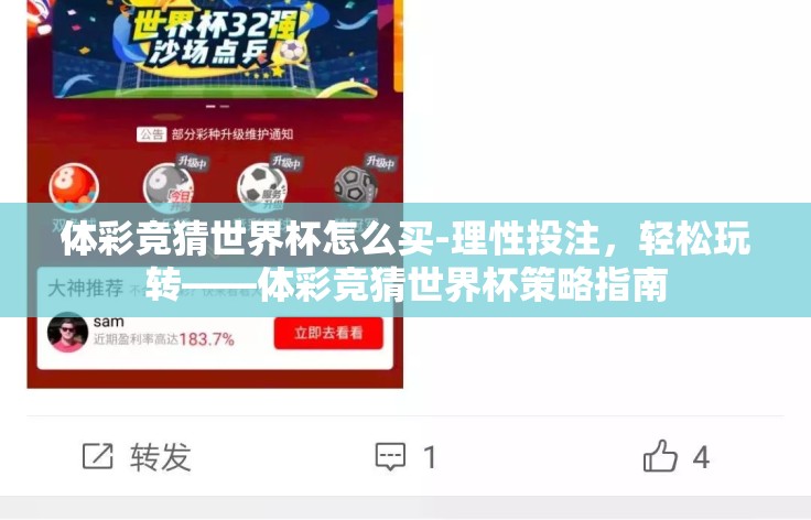 体彩竞猜世界杯怎么买-理性投注,轻松玩转——体彩竞猜世界杯策略指南 体彩竞猜世界杯怎么买-理性投注,轻松玩转——体彩竞猜世界杯策略指南