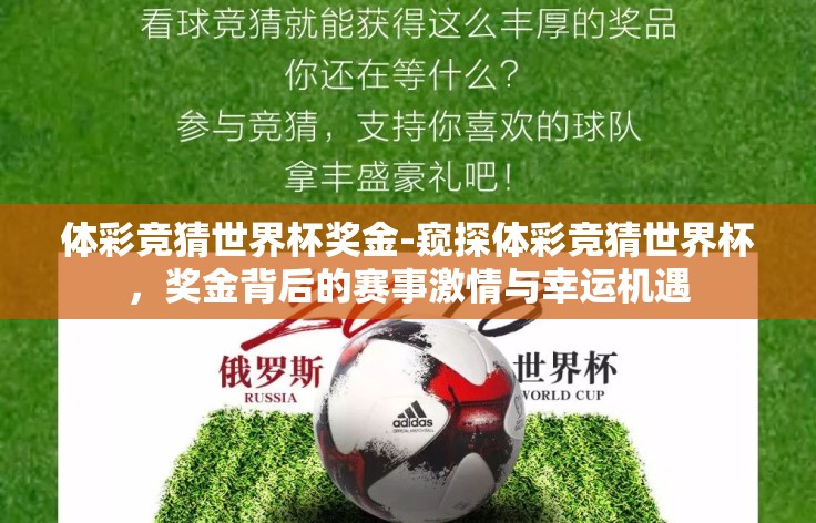 体彩竞猜世界杯奖金-窥探体彩竞猜世界杯,奖金背后的赛事激情与幸运机遇 体彩竞猜世界杯奖金-窥探体彩竞猜世界杯,奖金背后的赛事激情与幸运机遇