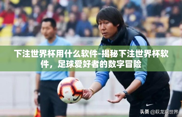 下注世界杯用什么软件-揭秘下注世界杯软件,足球爱好者的数字冒险 下注世界杯用什么软件-揭秘下注世界杯软件,足球爱好者的数字冒险