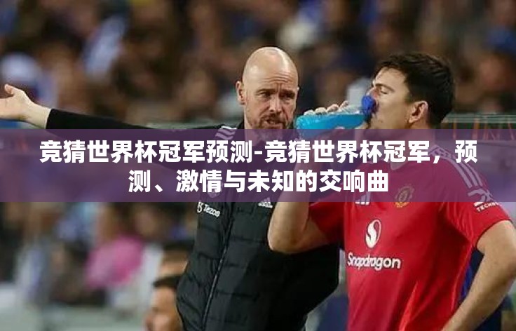 竞猜世界杯冠军预测-竞猜世界杯冠军,预测、激情与未知的交响曲 竞猜世界杯冠军预测-竞猜世界杯冠军,预测、激情与未知的交响曲