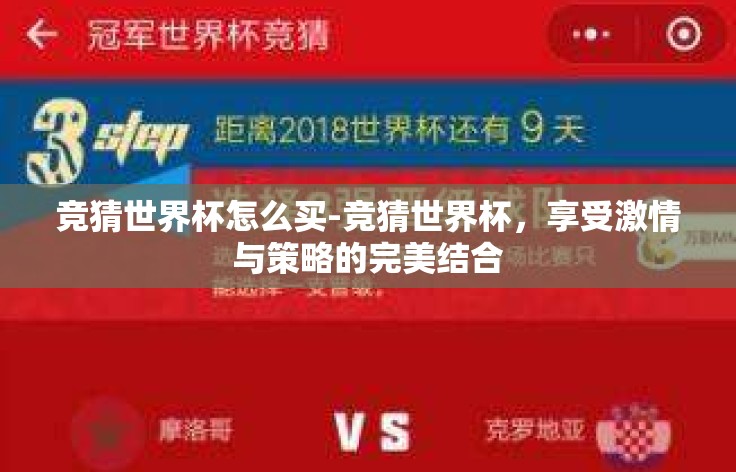 竞猜世界杯怎么买-竞猜世界杯，享受激情与策略的完美结合