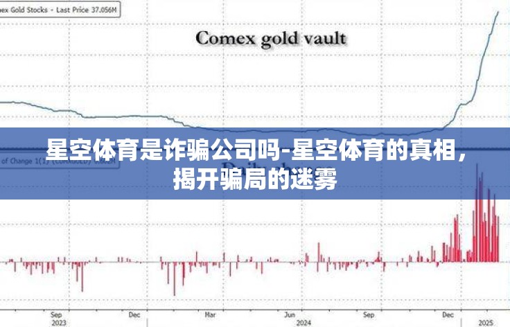 星空体育是诈骗公司吗-星空体育的真相，揭开骗局的迷雾