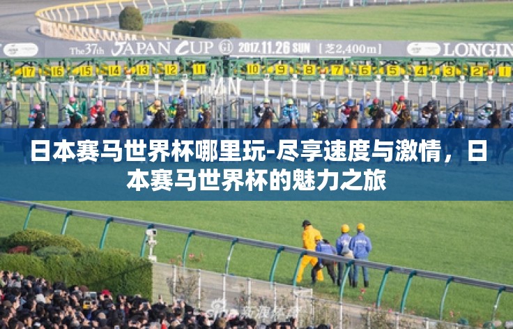 日本赛马世界杯哪里玩-尽享速度与激情，日本赛马世界杯的魅力之旅