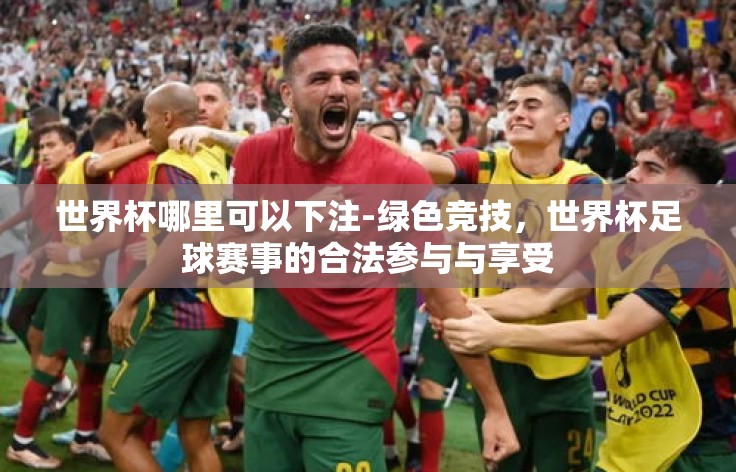 世界杯哪里可以下注-绿色竞技,世界杯足球赛事的合法参与与享受 世界杯哪里可以下注-绿色竞技,世界杯足球赛事的合法参与与享受