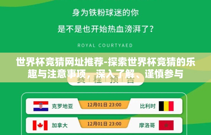 世界杯竞猜网址推荐-探索世界杯竞猜的乐趣与注意事项，深入了解、谨慎参与