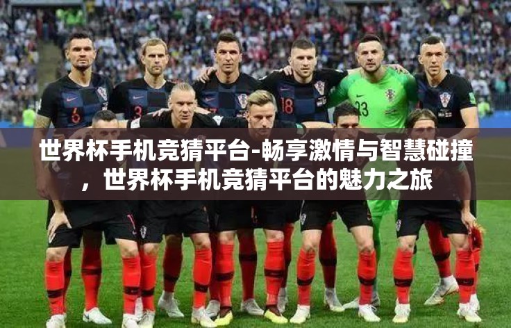 世界杯手机竞猜平台-畅享激情与智慧碰撞，世界杯手机竞猜平台的魅力之旅