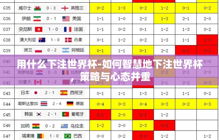 用什么下注世界杯-如何智慧地下注世界杯，策略与心态并重