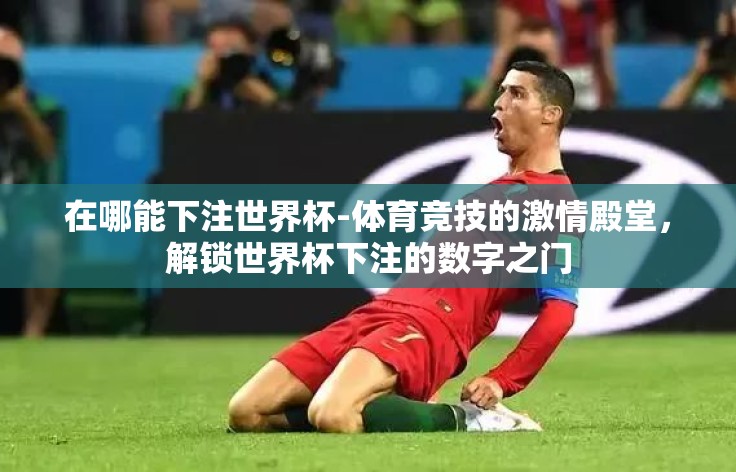 在哪能下注世界杯-体育竞技的激情殿堂，解锁世界杯下注的数字之门