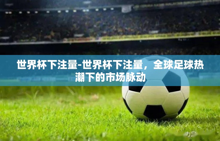 世界杯下注量-世界杯下注量，全球足球热潮下的市场脉动