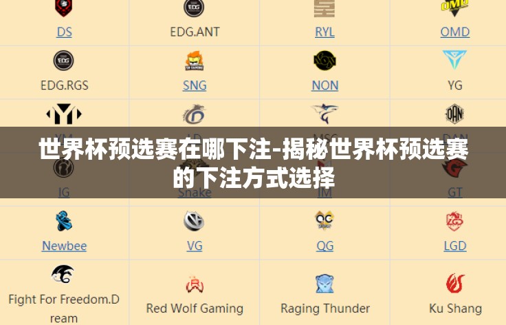 世界杯预选赛在哪下注-揭秘世界杯预选赛的下注方式选择