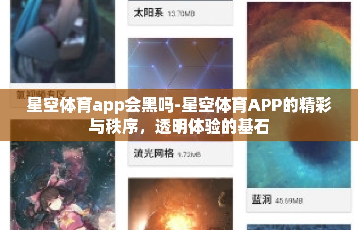 星空体育app会黑吗-星空体育APP的精彩与秩序，透明体验的基石