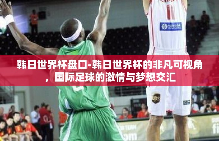 韩日世界杯盘口-韩日世界杯的非凡可视角，国际足球的激情与梦想交汇
