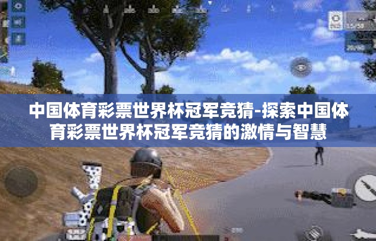 中国体育彩票世界杯冠军竞猜-探索中国体育彩票世界杯冠军竞猜的激情与智慧 中国体育彩票世界杯冠军竞猜-探索中国体育彩票世界杯冠军竞猜的激情与智慧